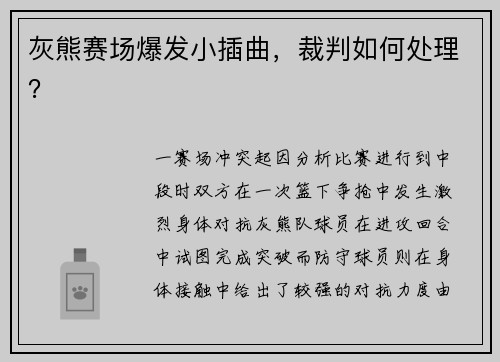灰熊赛场爆发小插曲，裁判如何处理？